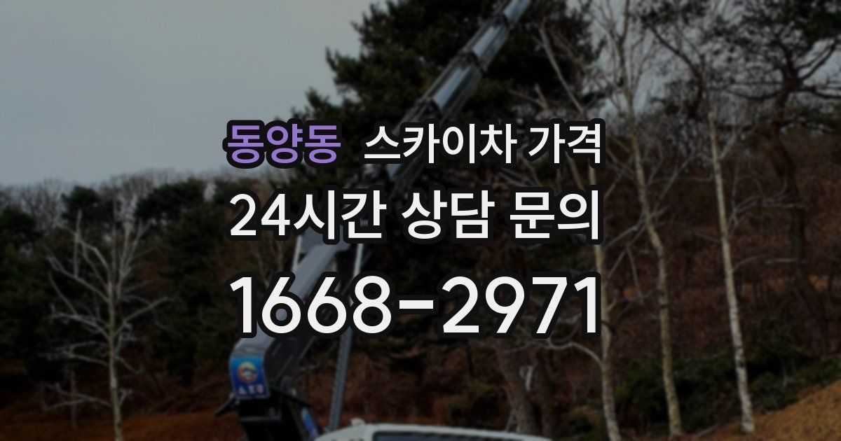 동양동 스카이차 가격