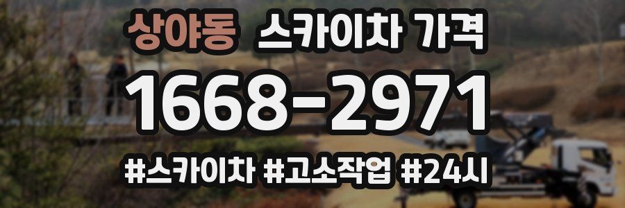 상야동 스카이차 가격