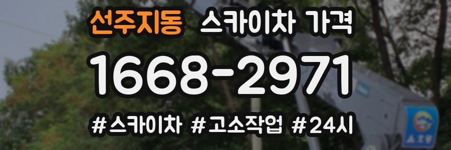 선주지동 스카이차 가격