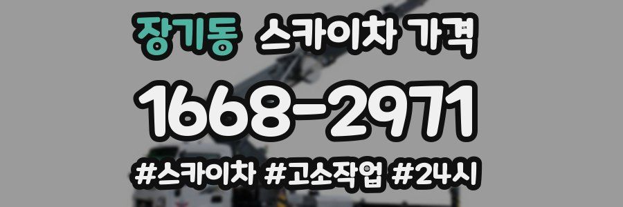 장기동 스카이차 가격