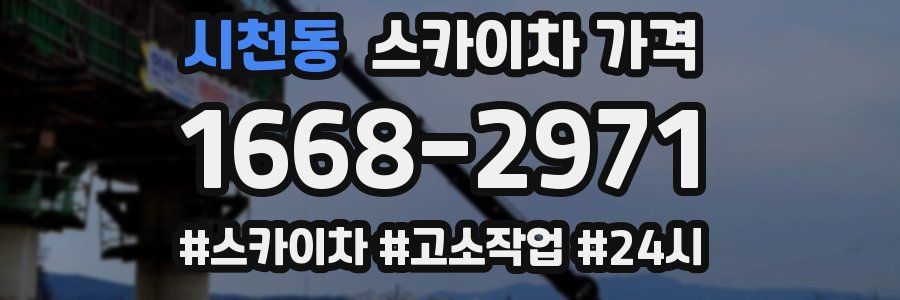 시천동 스카이차 가격