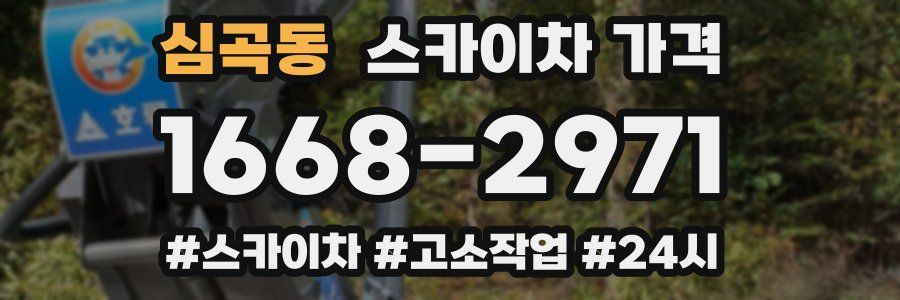 심곡동 스카이차 가격