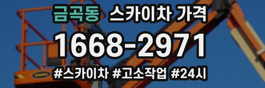 금곡동 스카이차 가격