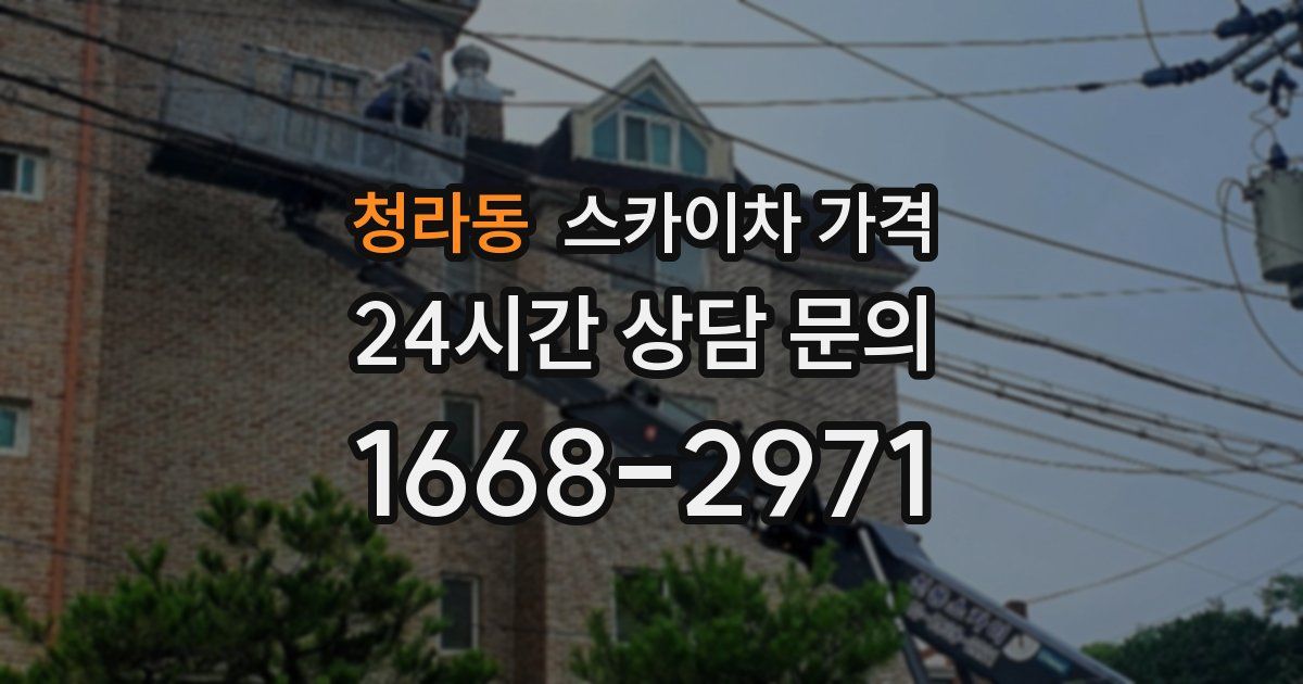 청라동 스카이차 가격