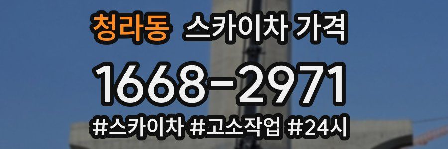 청라동 스카이차 가격