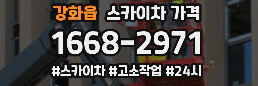 강화읍 스카이차 가격