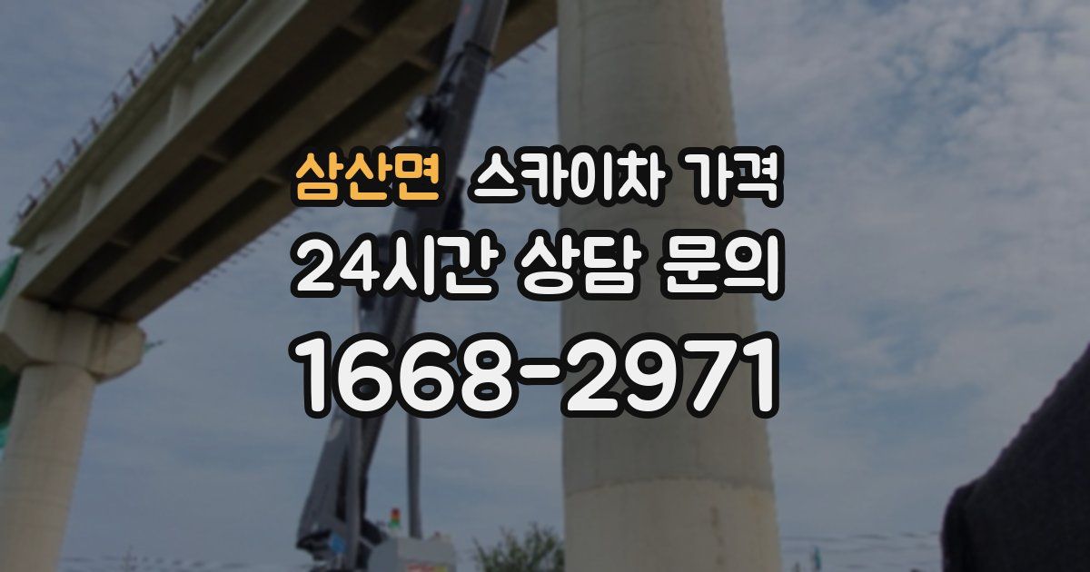 삼산면 스카이차 가격