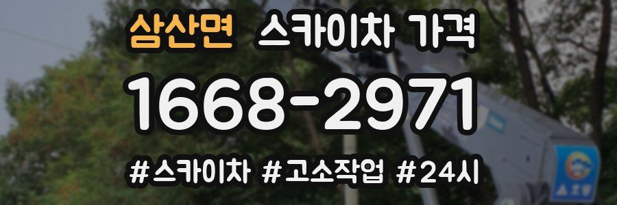 삼산면 스카이차 가격