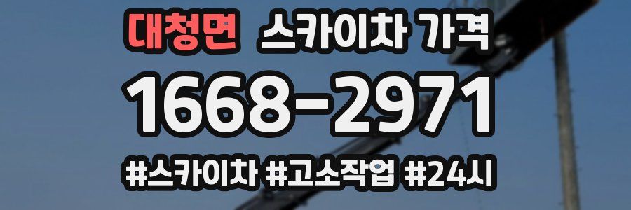 대청면 스카이차 가격