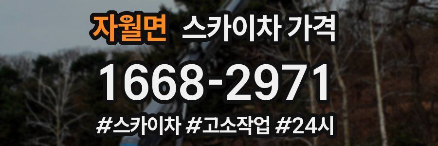 자월면 스카이차 가격