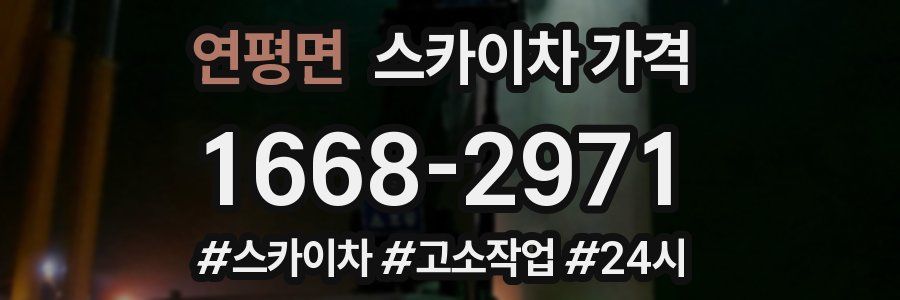 연평면 스카이차 가격