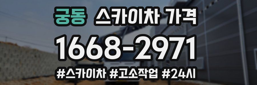 궁동 스카이차 가격