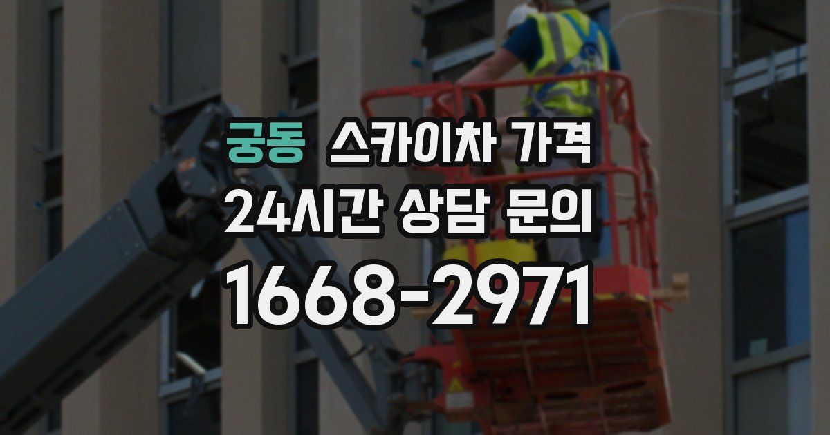 궁동 스카이차 가격