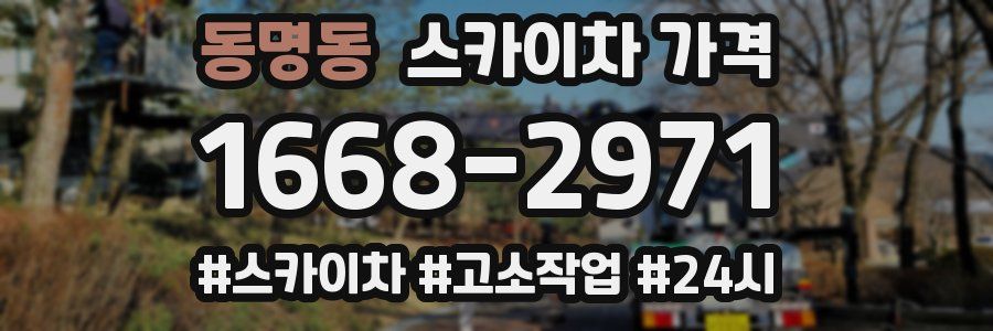 동명동 스카이차 가격