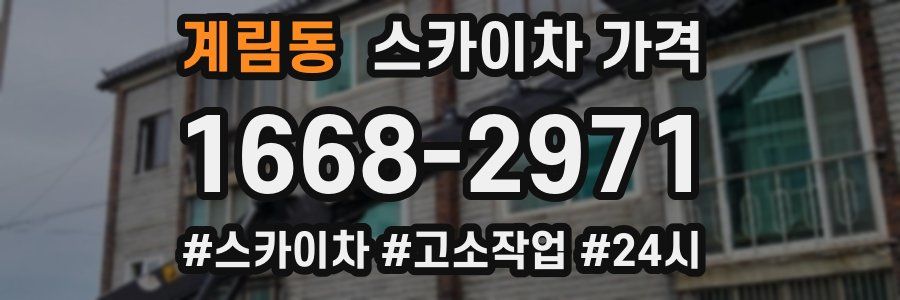 계림동 스카이차 가격