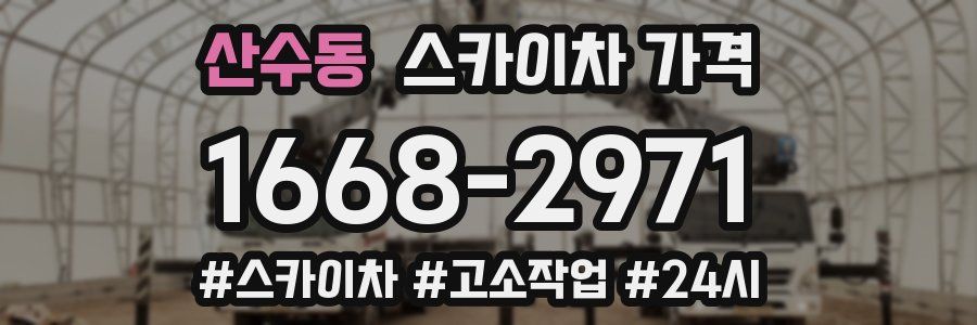 산수동 스카이차 가격