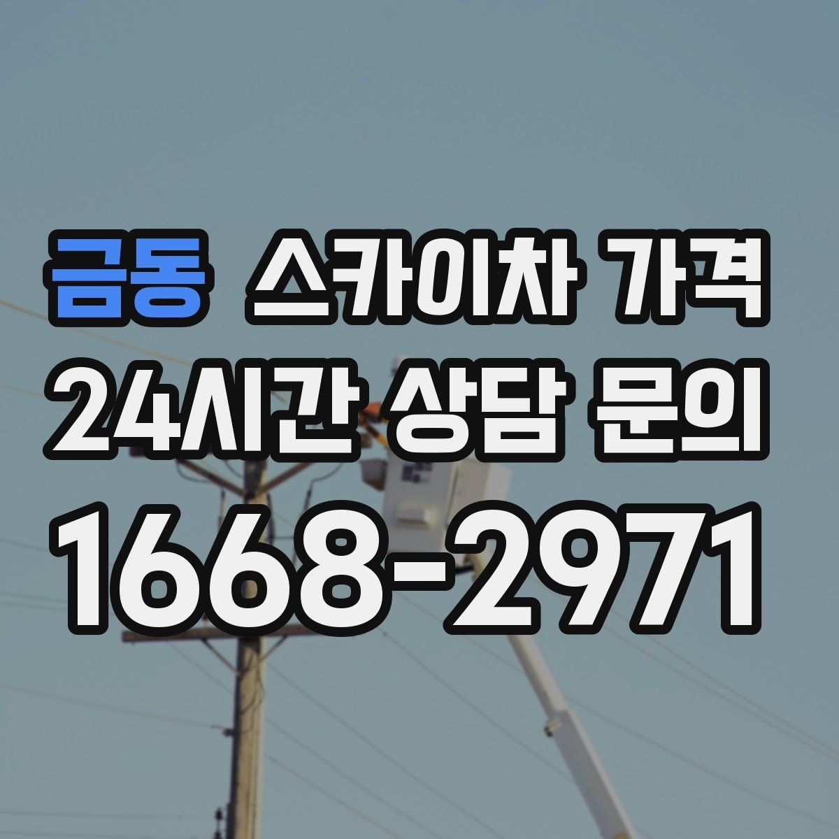 금동 스카이차 가격 간판 스위치·배선 점검이 필요한 경우