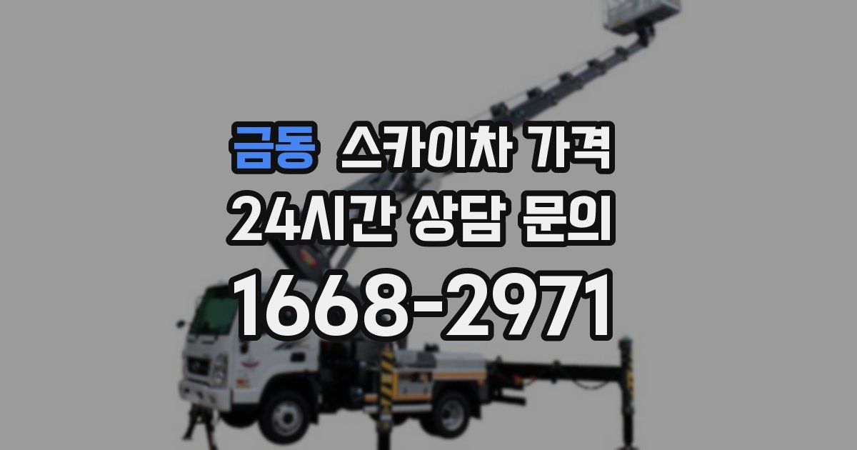 금동 스카이차 가격