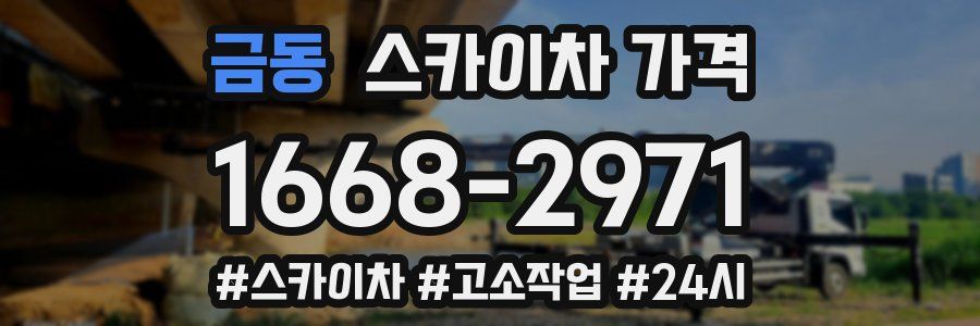 금동 스카이차 가격