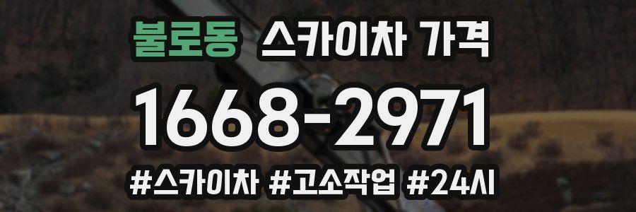 불로동 스카이차 가격