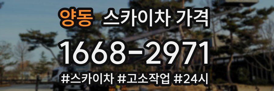 양동 스카이차 가격