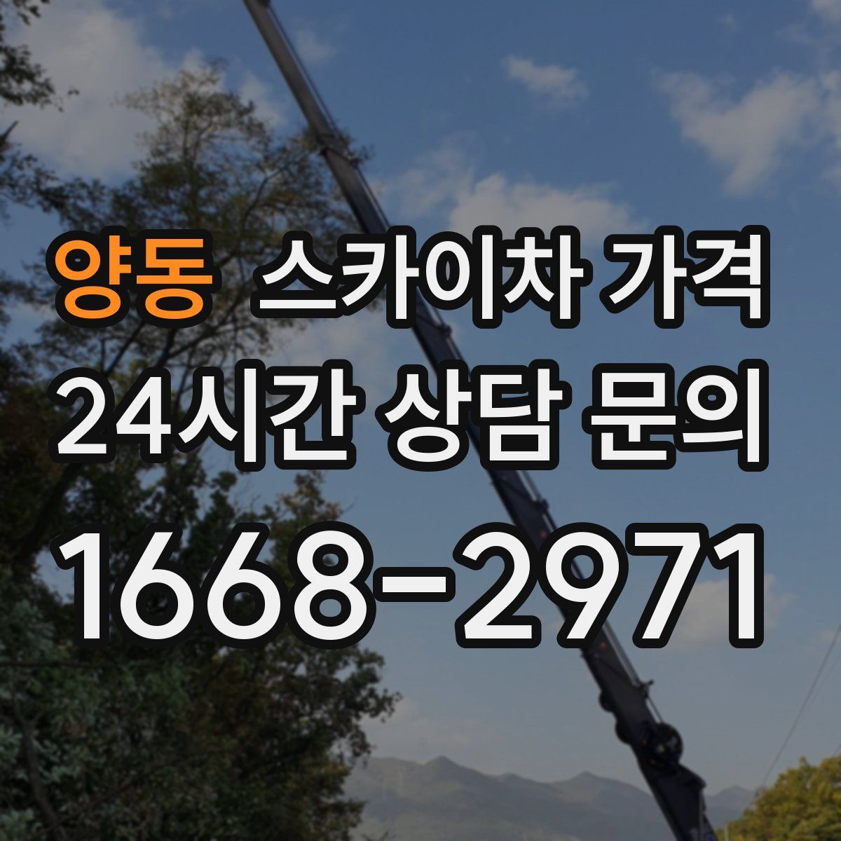 양동 스카이차 가격