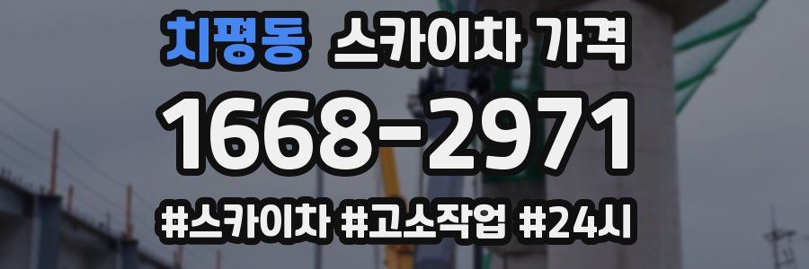 치평동 스카이차 가격
