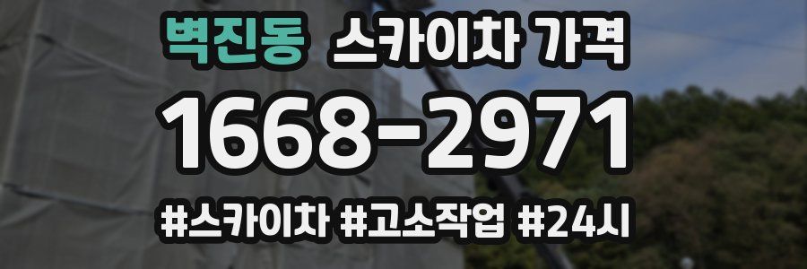 벽진동 스카이차 가격