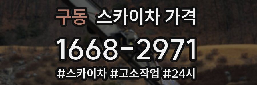 구동 스카이차 가격