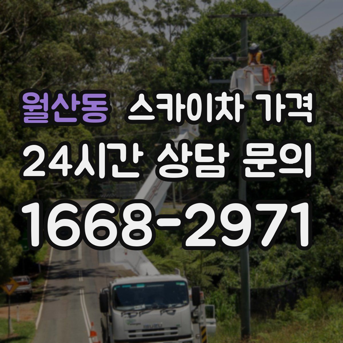 월산동 스카이차 가격