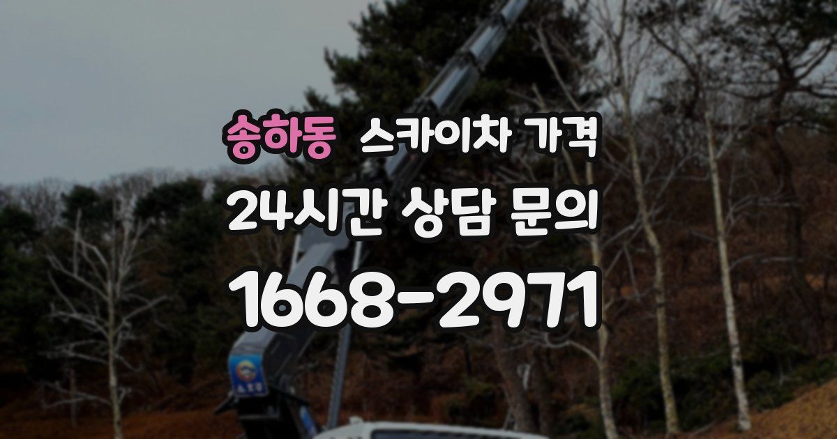 송하동 스카이차 가격