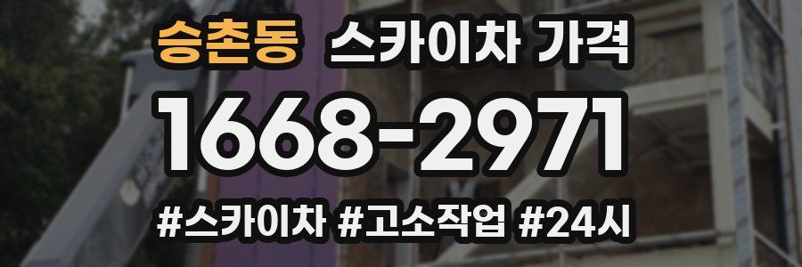 승촌동 스카이차 가격