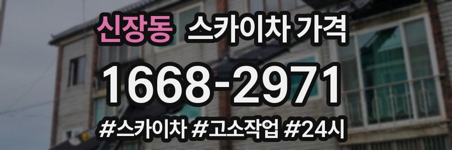 신장동 스카이차 가격