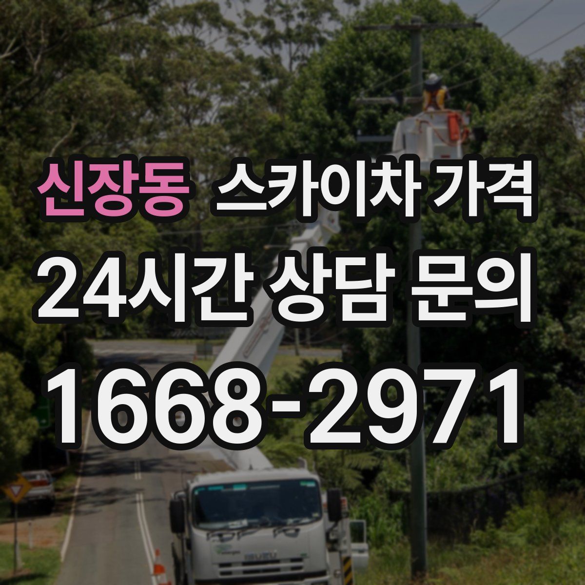 신장동 스카이차 가격