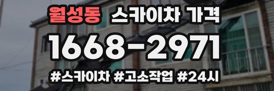 월성동 스카이차 가격