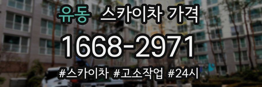 유동 스카이차 가격