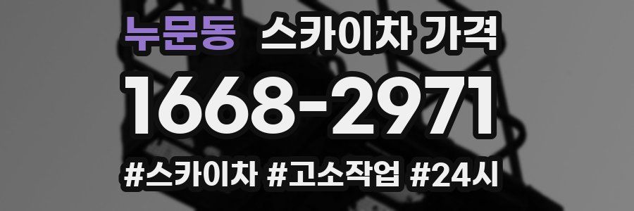 누문동 스카이차 가격