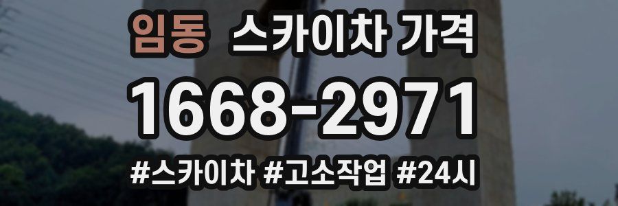 임동 스카이차 가격