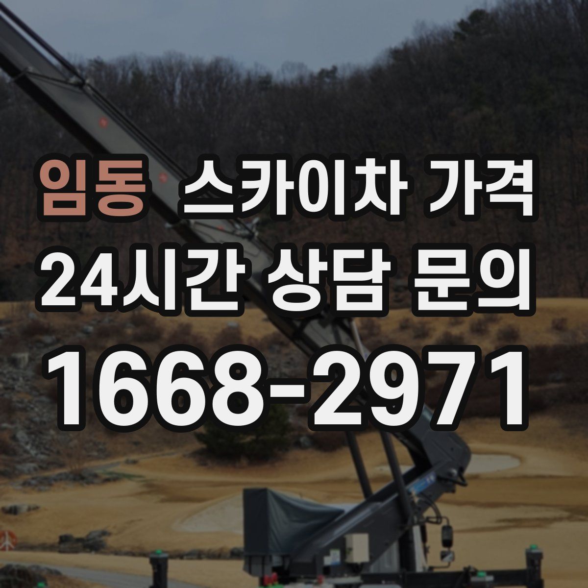 임동 스카이차 가격