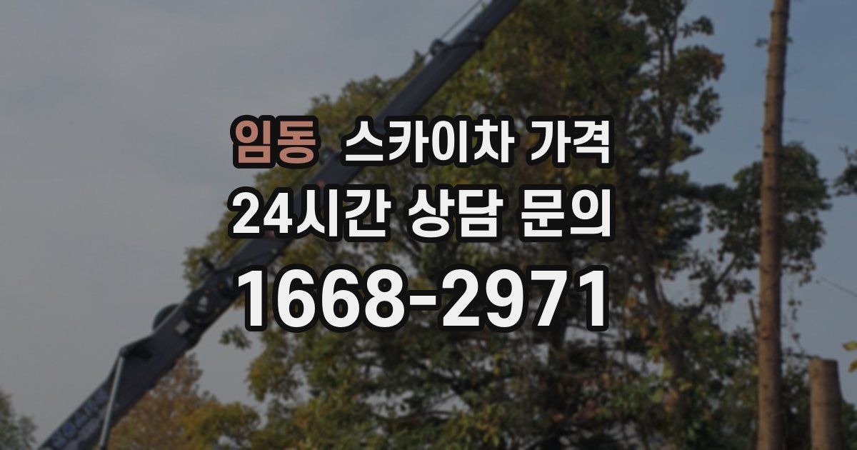 임동 스카이차 가격