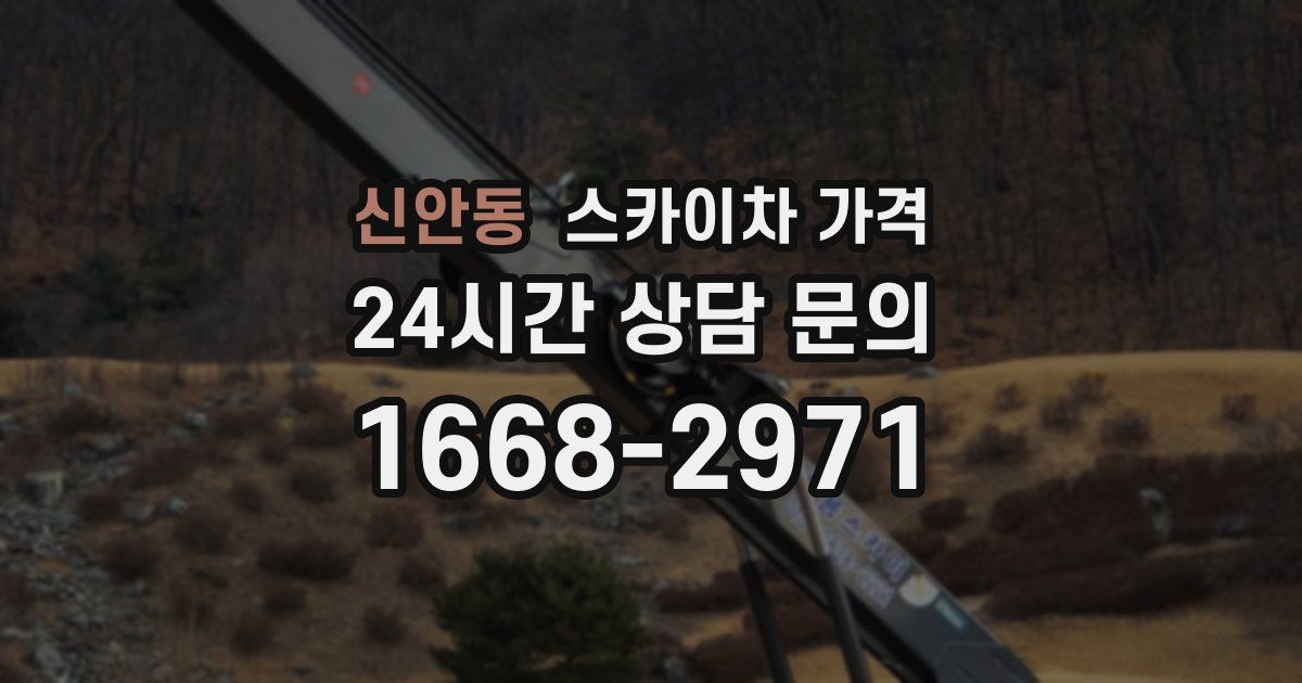 신안동 스카이차 가격