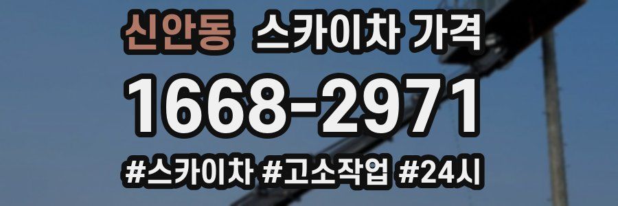 신안동 스카이차 가격