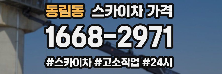 동림동 스카이차 가격