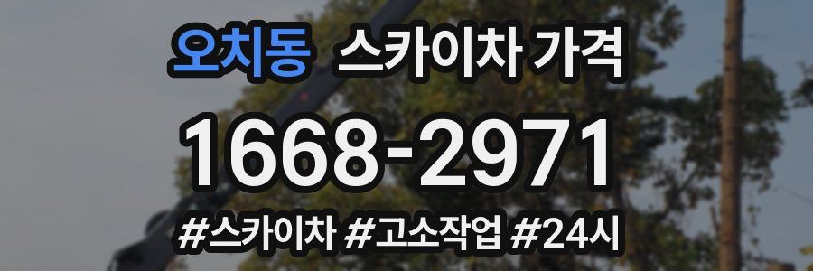 오치동 스카이차 가격