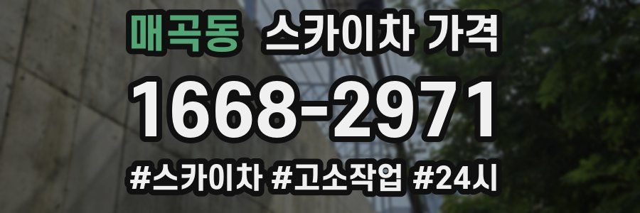 매곡동 스카이차 가격