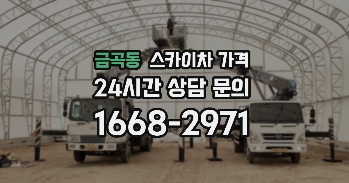 금곡동 스카이차 가격