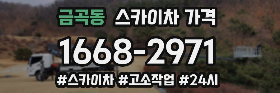 금곡동 스카이차 가격