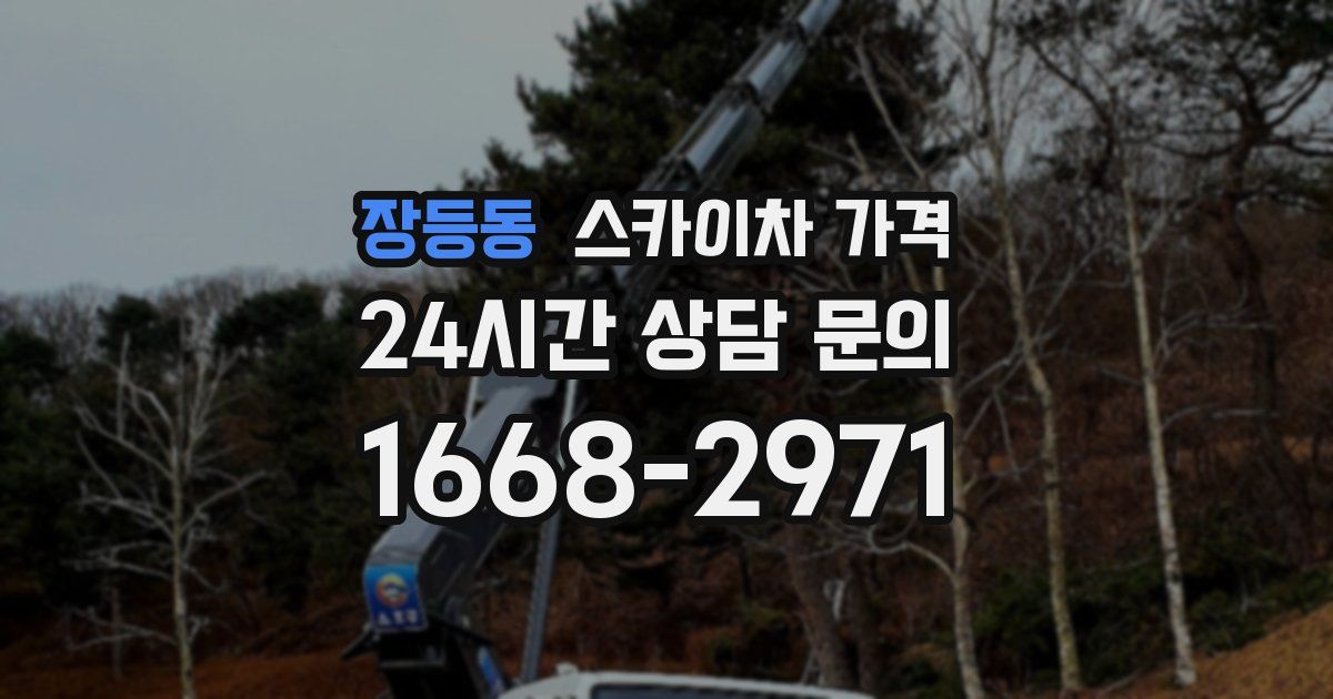 장등동 스카이차 가격