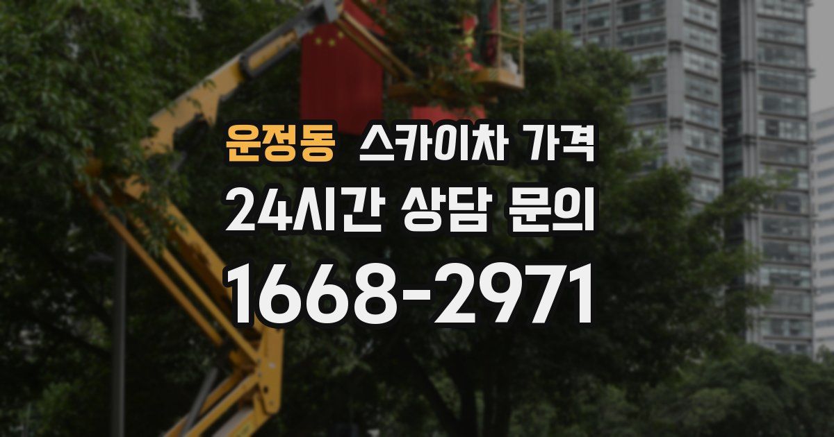 운정동 스카이차 가격