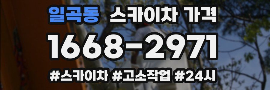 일곡동 스카이차 가격